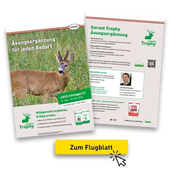 Flugblatt_Wildfutter Einlagerungsaktion 2026